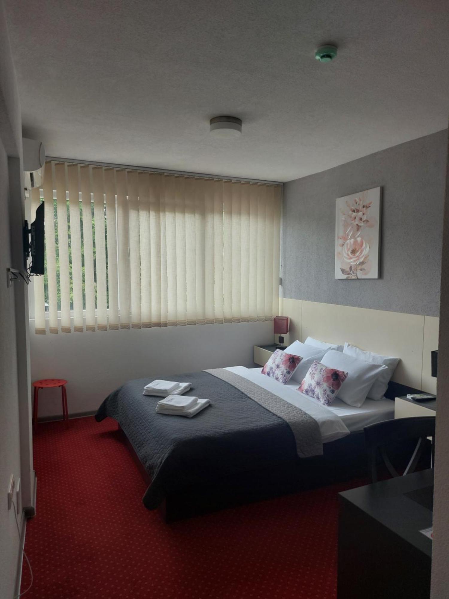 Rooms S&S Milicevic U Strogom Centru Aleksandrovca Aleksandrovac Eksteriør bilde